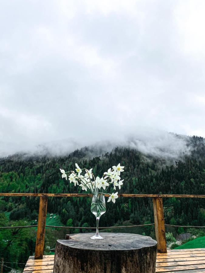 Mitarbi Silence - Cozy Holiday Cottages In Mountains Borjomi Luaran gambar