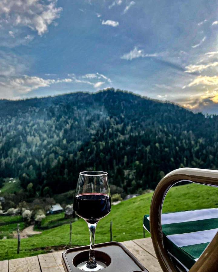 Mitarbi Silence - Cozy Holiday Cottages In Mountains Borjomi Luaran gambar