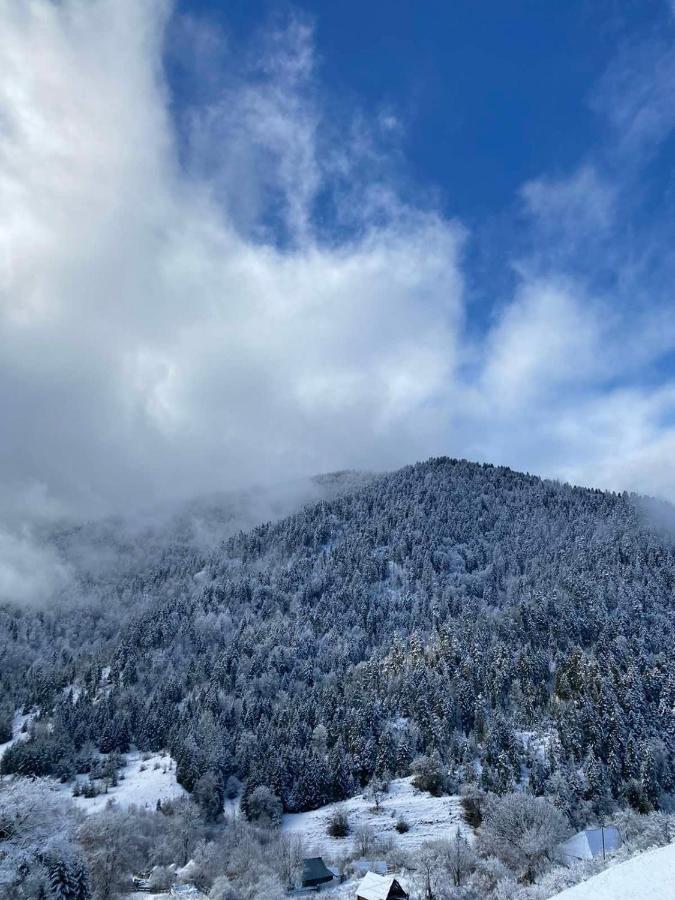 Mitarbi Silence - Cozy Holiday Cottages In Mountains Borjomi Luaran gambar