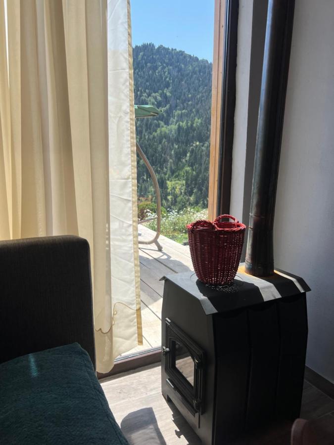 Mitarbi Silence - Cozy Holiday Cottages In Mountains Borjomi Luaran gambar
