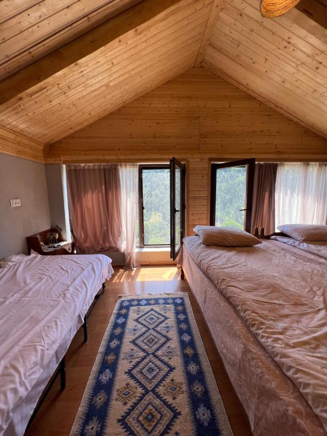 Mitarbi Silence - Cozy Holiday Cottages In Mountains Borjomi Luaran gambar