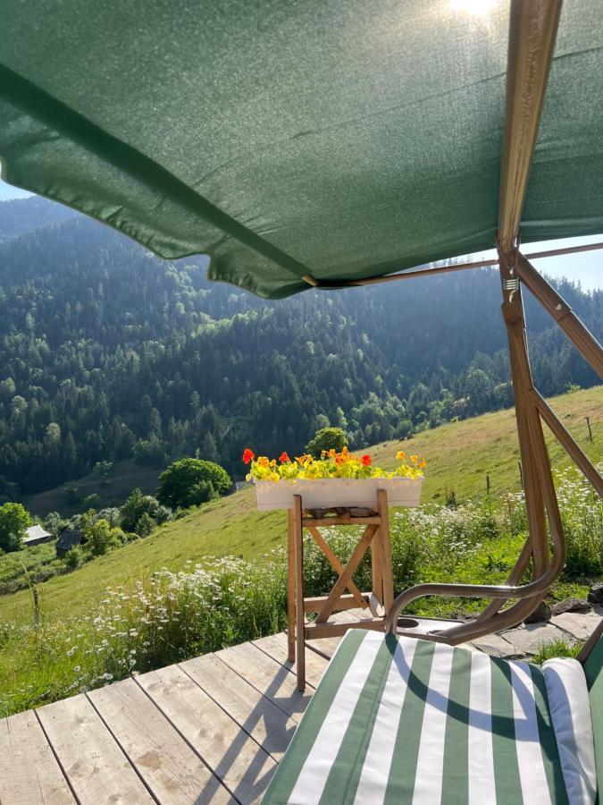 Mitarbi Silence - Cozy Holiday Cottages In Mountains Borjomi Luaran gambar