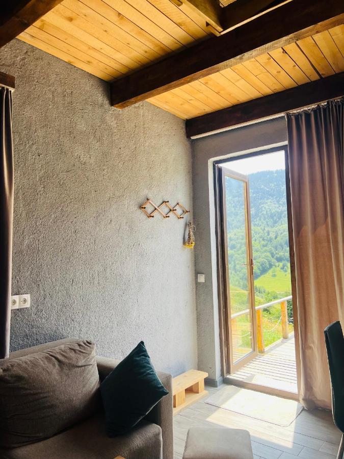 Mitarbi Silence - Cozy Holiday Cottages In Mountains Borjomi Luaran gambar