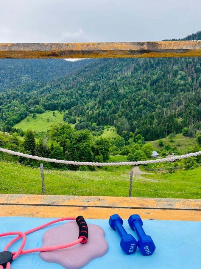 Mitarbi Silence - Cozy Holiday Cottages In Mountains Borjomi Luaran gambar