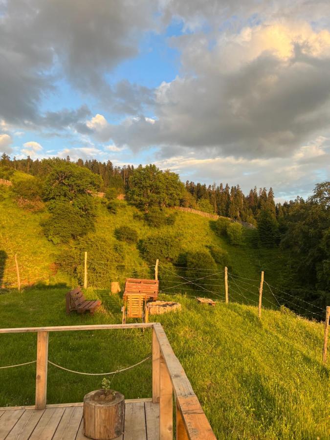 Mitarbi Silence - Cozy Holiday Cottages In Mountains Borjomi Luaran gambar