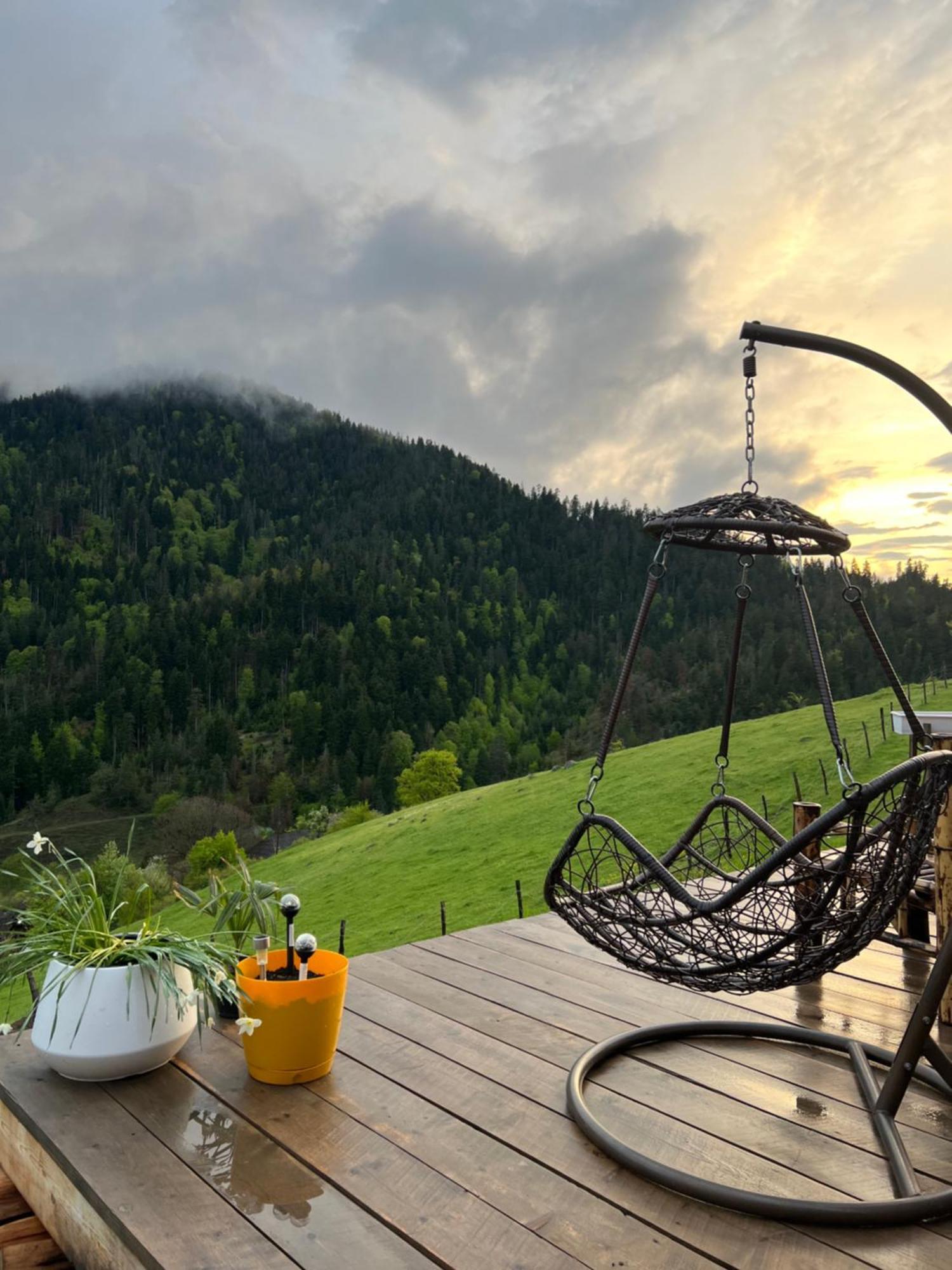 Mitarbi Silence - Cozy Holiday Cottages In Mountains Borjomi Luaran gambar